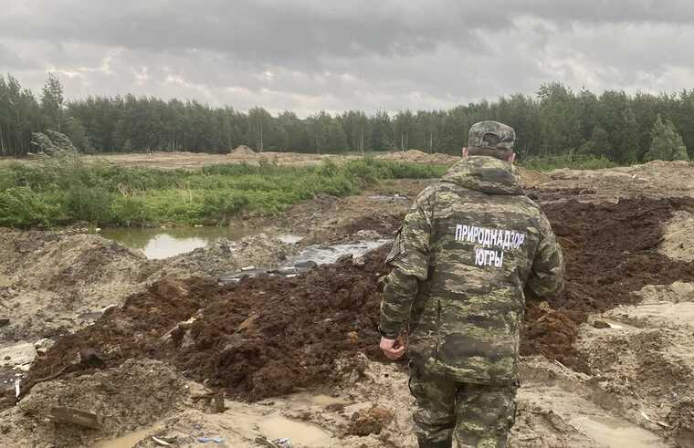 Замгубернатора ХМАО не видит угрозы для лесов Сургута: Местный Природнадзор обвиняют в имитации деятельности